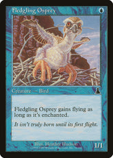 Filhote de Águia Marinha / Fledgling Osprey - Magic: The Gathering - MoxLand